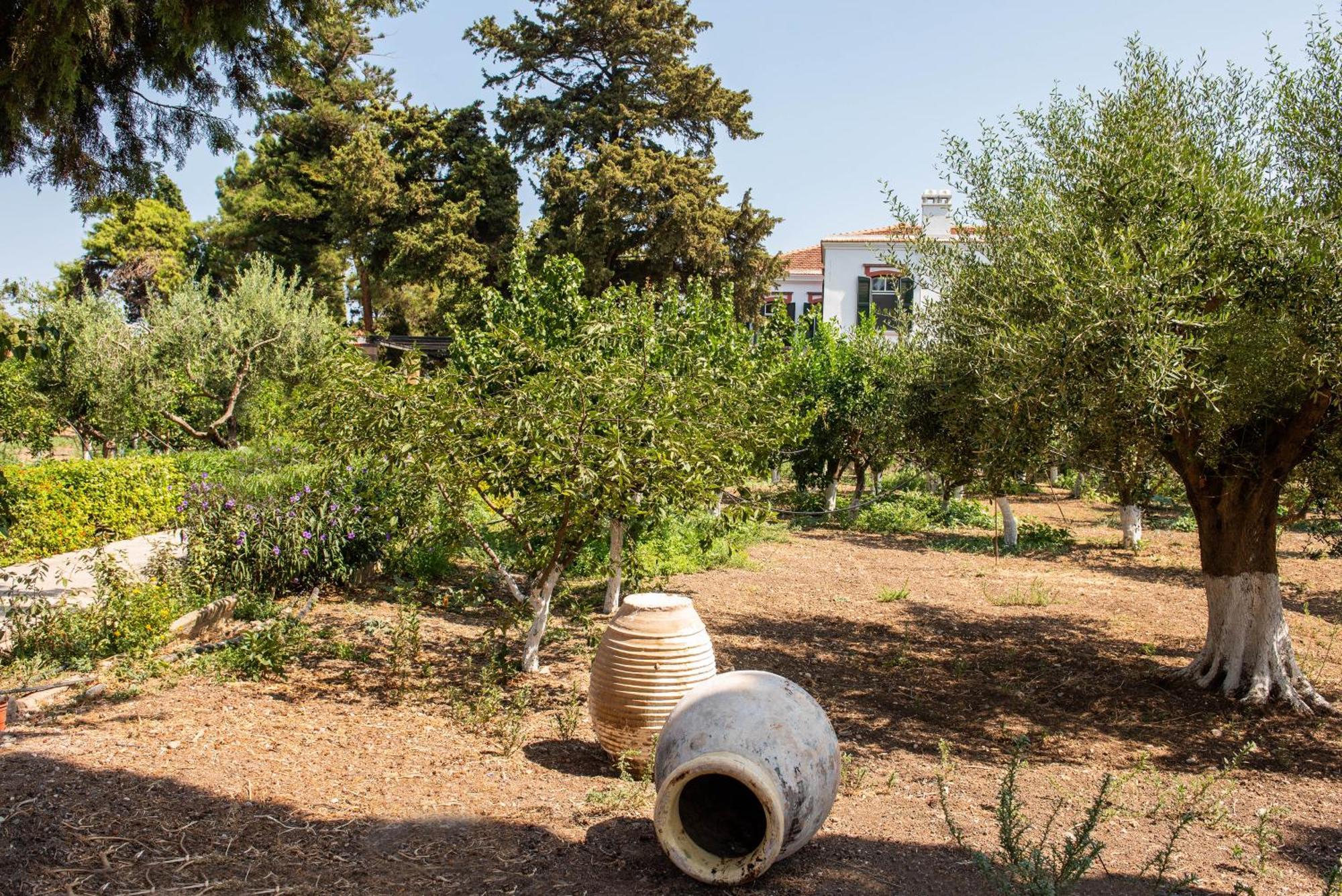 Calvocoressi Estate Хиос Экстерьер фото