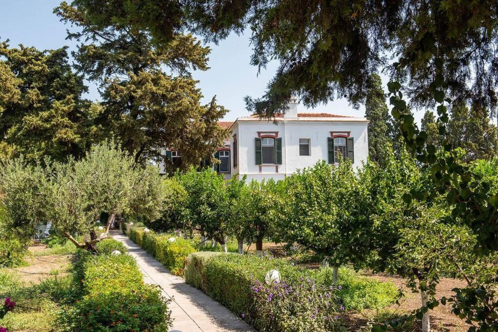 Calvocoressi Estate Хиос Экстерьер фото